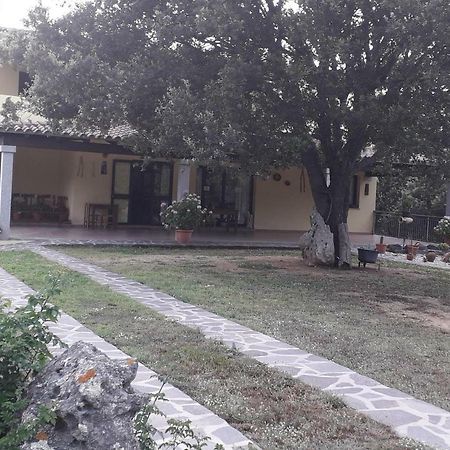 Padru Agriturismo La Tuva 빌라 외부 사진