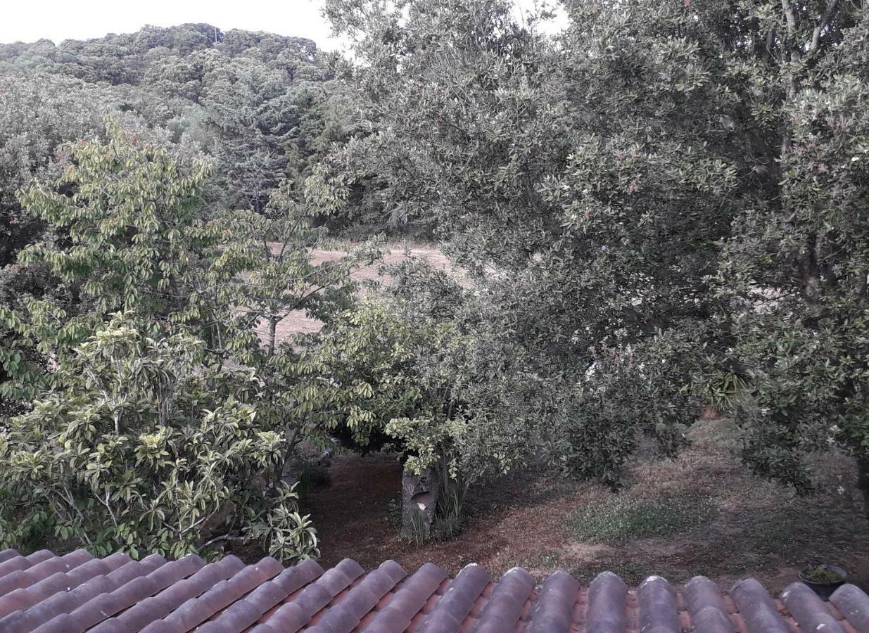 Padru Agriturismo La Tuva 빌라 외부 사진