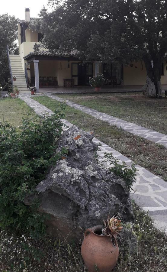 Padru Agriturismo La Tuva 빌라 외부 사진