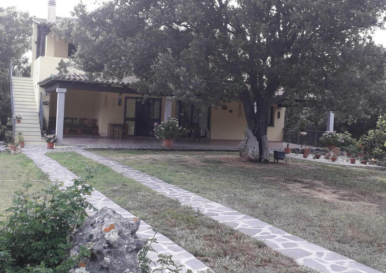 Padru Agriturismo La Tuva 빌라 외부 사진