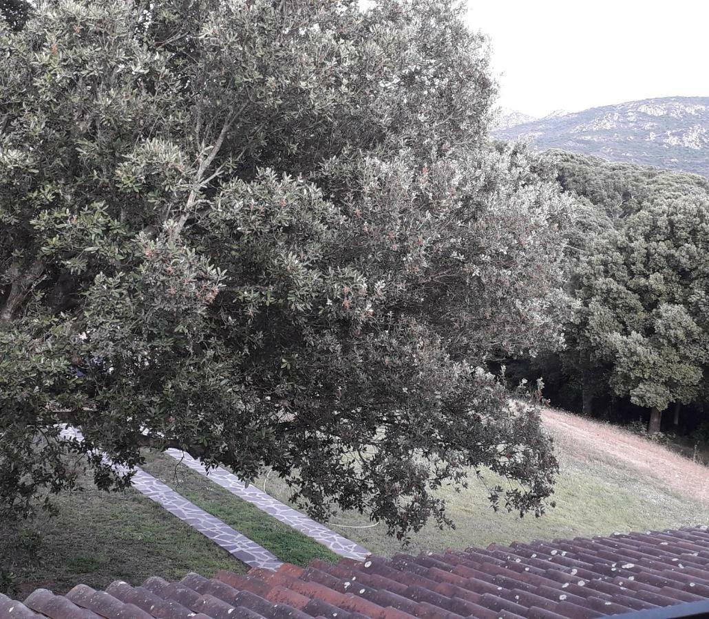 Padru Agriturismo La Tuva 빌라 외부 사진