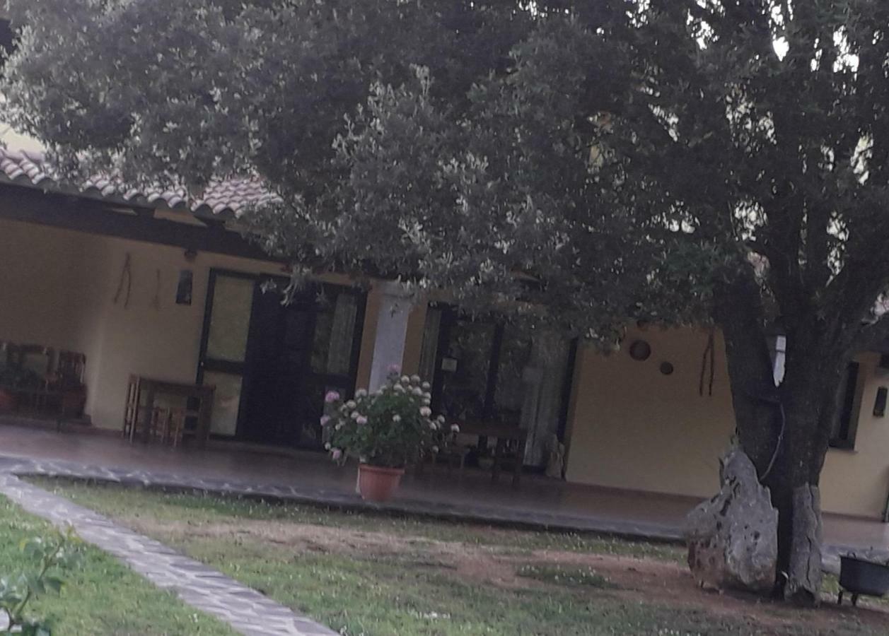 Padru Agriturismo La Tuva 빌라 외부 사진